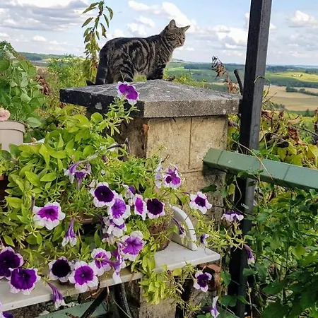 39 Tour De Bed & Breakfast Monflanquin