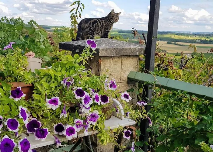 39 Tour De B&B 몽플렁캉